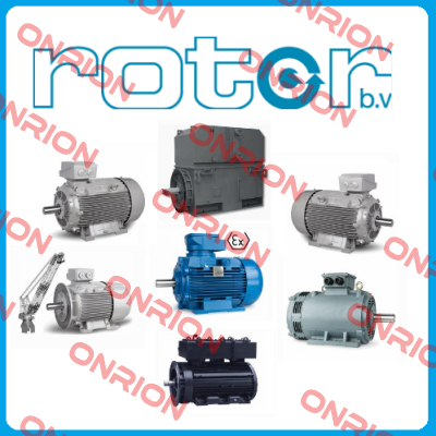 6RN100L04E35U46B 2081 Rotor