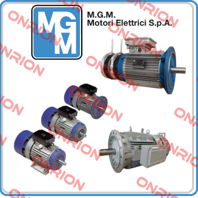 BA 160 LA4 (BA160LA4-B5-400/690V) M.G.M MOTORI