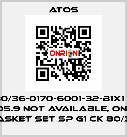 CK-80/36-0170-6001-32-B1X1 for Pos.9 not available, only gasket set SP G1 CK 80/36 Atos