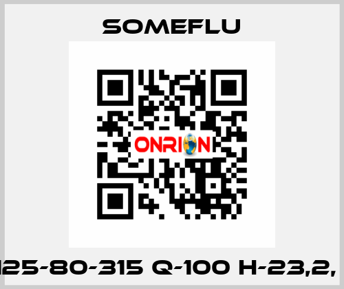 NP-S 125-80-315 Q-100 H-23,2, Ф-280 SOMEFLU