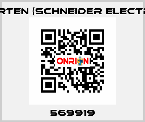 569919 Merten (Schneider Electric)