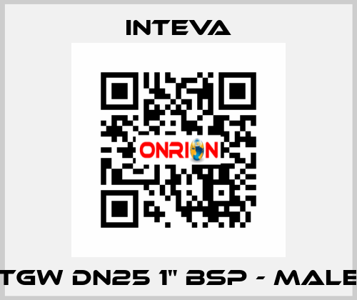 TGW DN25 1" BSP - male Inteva