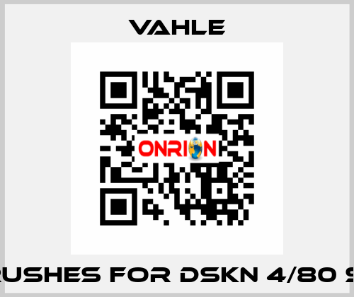 brushes for DSKN 4/80 S-5 Vahle