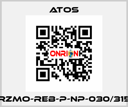 RZMO-REB-P-NP-030/315 Atos