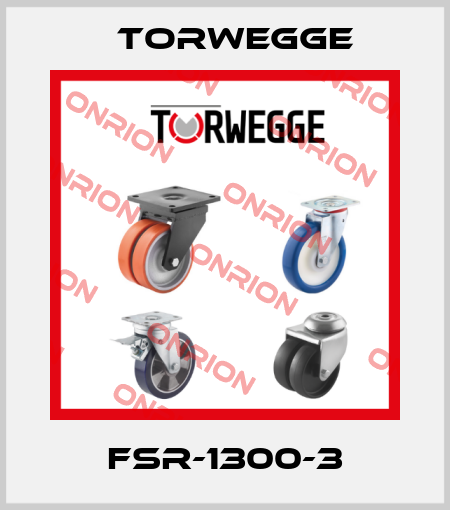 FSR-1300-3 Torwegge