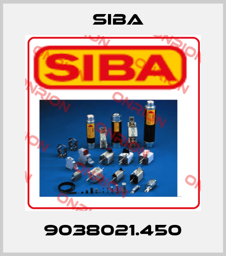 9038021.450 Siba