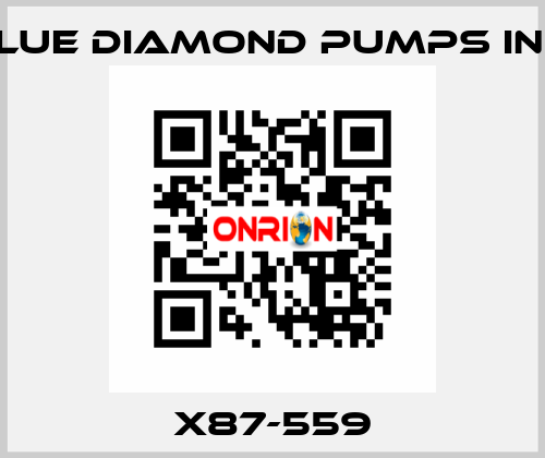 X87-559 Blue Diamond Pumps Inc.