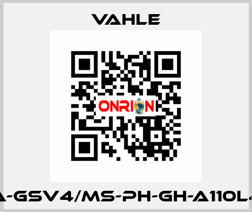 SA-GSV4/MS-PH-GH-A110L40 Vahle