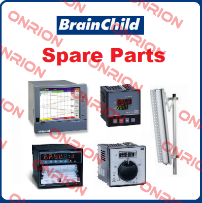 C42-411000002 Brainchild