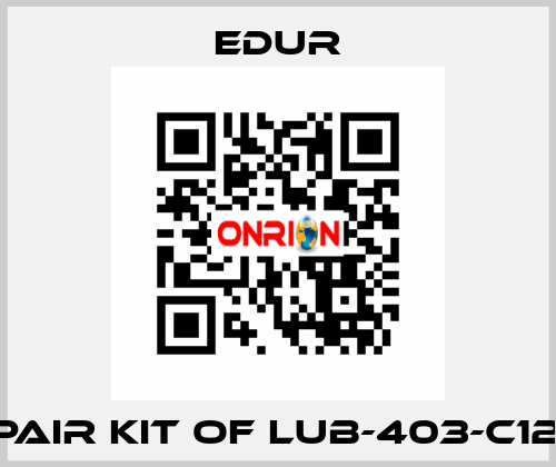 REPAIR KIT OF LUB-403-C120L  Edur