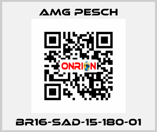 BR16-SAD-15-180-01 AMG Pesch