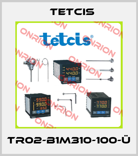 TR02-B1M310-100-Ü Tetcis