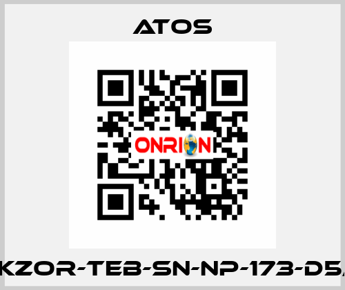 DKZOR-TEB-SN-NP-173-D5/F Atos