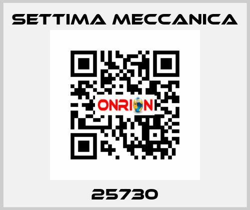 25730 Settima Meccanica