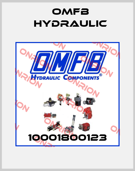 10001800123 OMFB Hydraulic