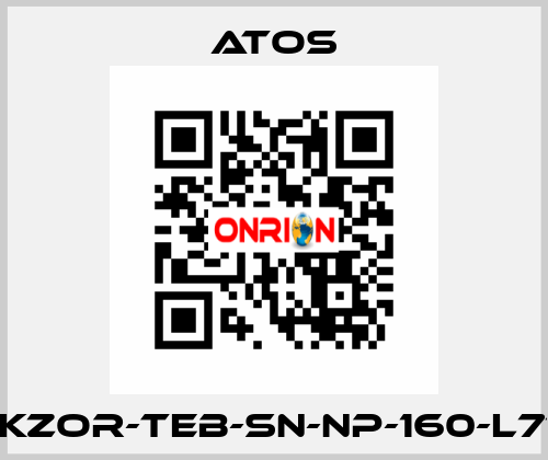 DLKZOR-TEB-SN-NP-160-L71/Q Atos