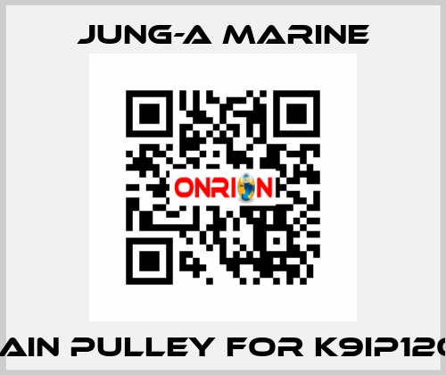 main pulley for K9IP120F JUNG-A MARINE