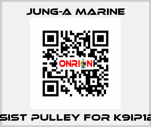 assist pulley for K9IP120F JUNG-A MARINE