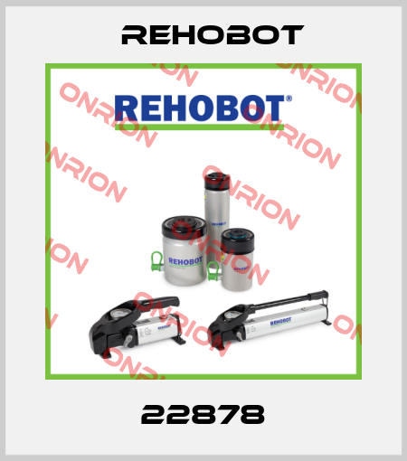 22878 Rehobot