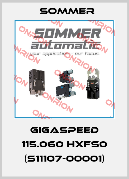 GIGAspeed 115.060 HXFS0 (S11107-00001) Sommer