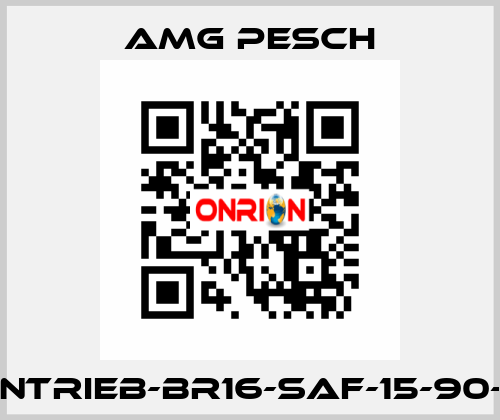 AMG-Antrieb-BR16-SAF-15-90-01-n=12 AMG Pesch