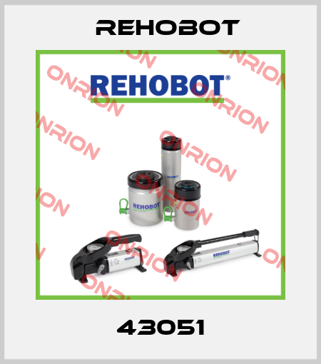43051 Rehobot