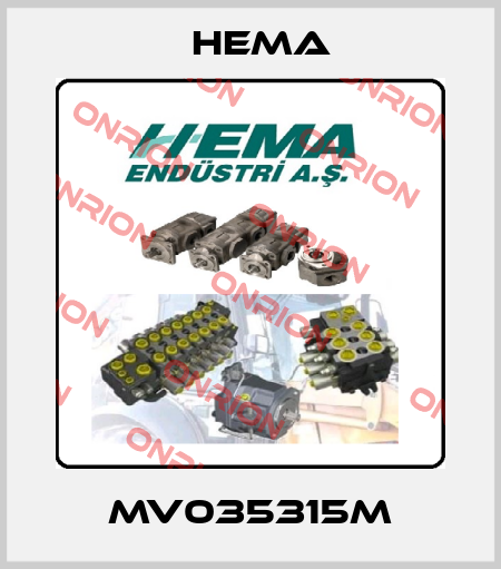 MV035315M Hema