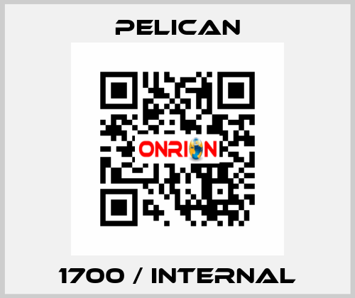 1700 / Internal Pelican