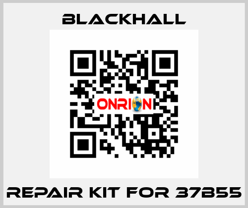 repair kit for 37B55 Blackhall