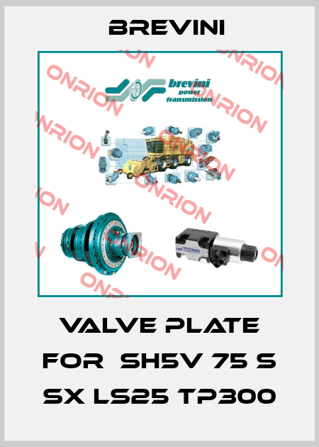 valve plate for  SH5V 75 S SX LS25 TP300 Brevini