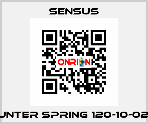 Counter spring 120-10-021-10 Sensus