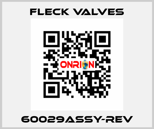 60029ASSY-REV Fleck Valves