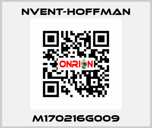 M170216G009 nVent-Hoffman