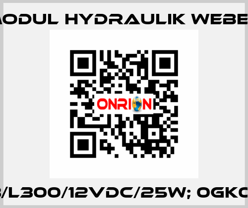 M33/L300/12VDC/25W; 0GK01001 MODUL HYDRAULIK WEBER