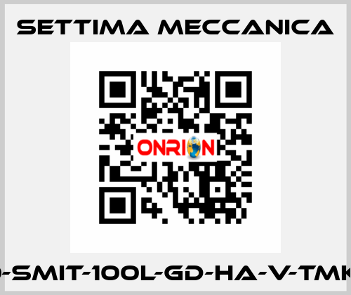 GR40-SMIT-100L-GD-HA-V-TMK-CSM Settima Meccanica