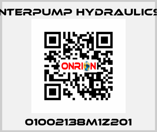 01002138M1Z201 Interpump hydraulics