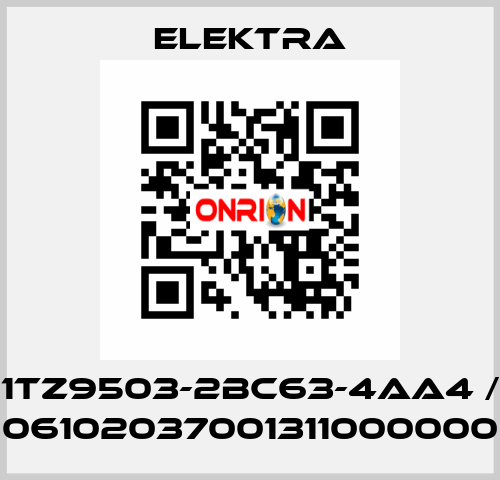 1TZ9503-2BC63-4AA4 / 06102037001311000000 ELEKTRA