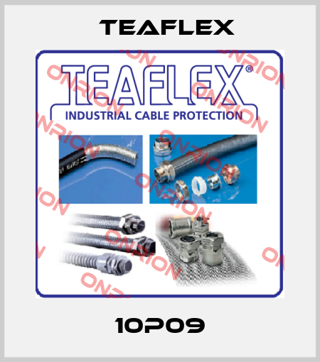 10P09 Teaflex
