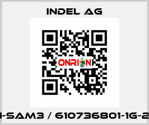 GIN-SAM3 / 610736801-1G-256 INDEL AG