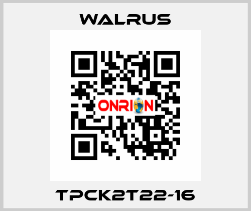 TPCK2T22-16 Walrus