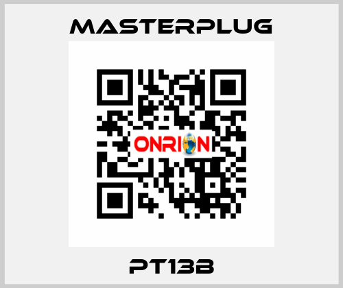 PT13B Masterplug