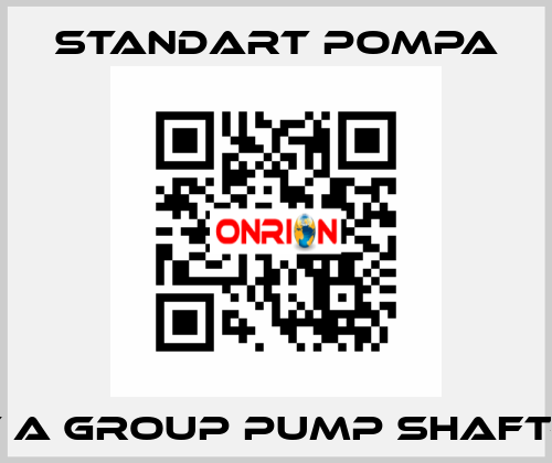 SNT A GROUP PUMP SHAFT-316 STANDART POMPA