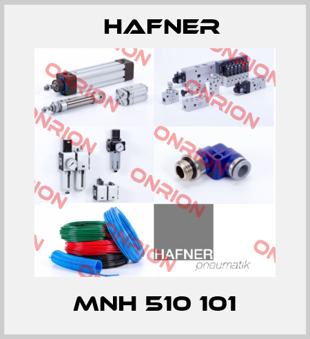 MNH 510 101 Hafner