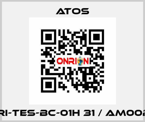 E-RI-TES-BC-01H 31 / AM002A Atos