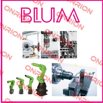 255804 Blum