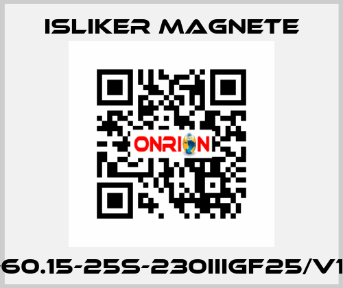 GIs-60.15-25S-230IIIGF25/V1474 ISLIKER MAGNETE