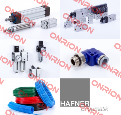 MNH 311 121 NPT Hafner