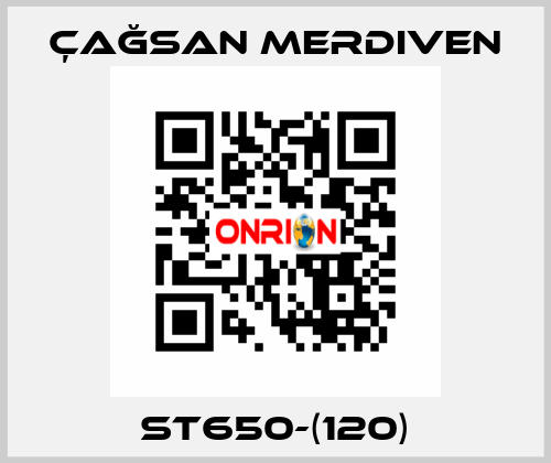 ST650-(120) Çağsan Merdiven