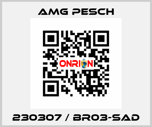 230307 / BR03-SAD AMG Pesch