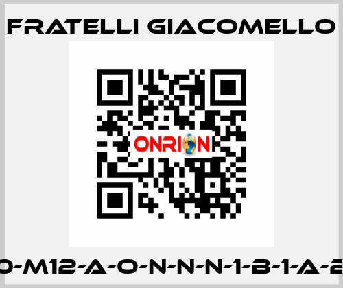 LV/E-S1-450-M12-A-O-N-N-N-1-B-1-A-2-0-0-A-0-0 Fratelli Giacomello